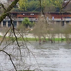 26-IMG_4966