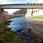 DSCN0822