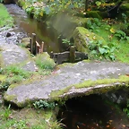 DSCN5743