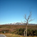 DSCN2922