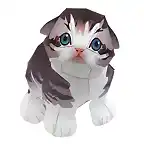 scottish-fold_thm