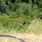 IMG_3438