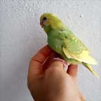 20190720_111841(0)