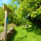DSCN5203