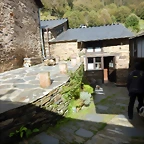 DSCN4331