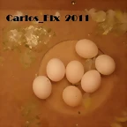 minnie y rikki  2-4-11