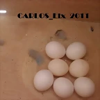 kitty y caramelo 2-4-11