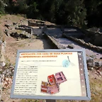 11-IMG_5421