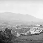 Oviedo_tejera
