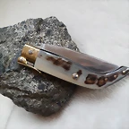 SAM_0959