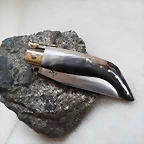 SAM_0958