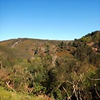 DSCN8958