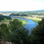 DSCN5540
