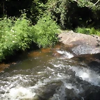 DSCN2789