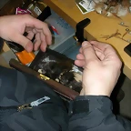 DSCN5687