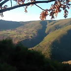 DSCN5642