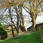 53-IMG_5553