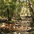 IMG_6434[1][3]