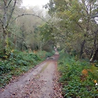DSCN1155