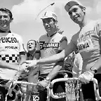 TDF-PINGEON-GIMONDI-MERCKX