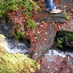DSCN0662