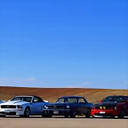 DSC_0681