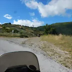 DSCN3541