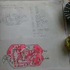 DSCN4620