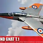 gnat1