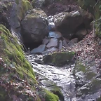 zona sota fil nova