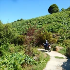 DSCN4153