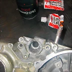 DSCN3665