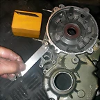 DSCN3677