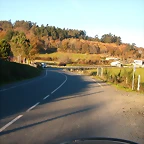 DSCN6663