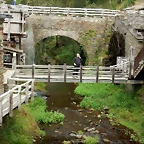 DSCN3544