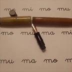 Pluma parker caseina 003