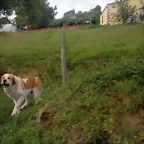 DSCN8389