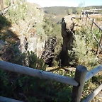 DSCN9014