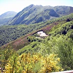 DSCN8499