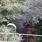 DSCN9823