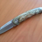 SAM_0876