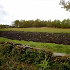 DSCN9207