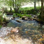 DSCN9183