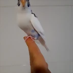 20190609_124704
