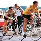 TDF-1975-THEVENET-MERCKX-ZOETEMELK.