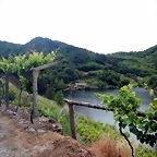 DSCN3462