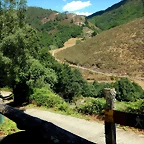 DSCN7771