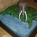 20150426_105053