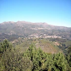 DSCN7802