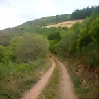 DSCN2339